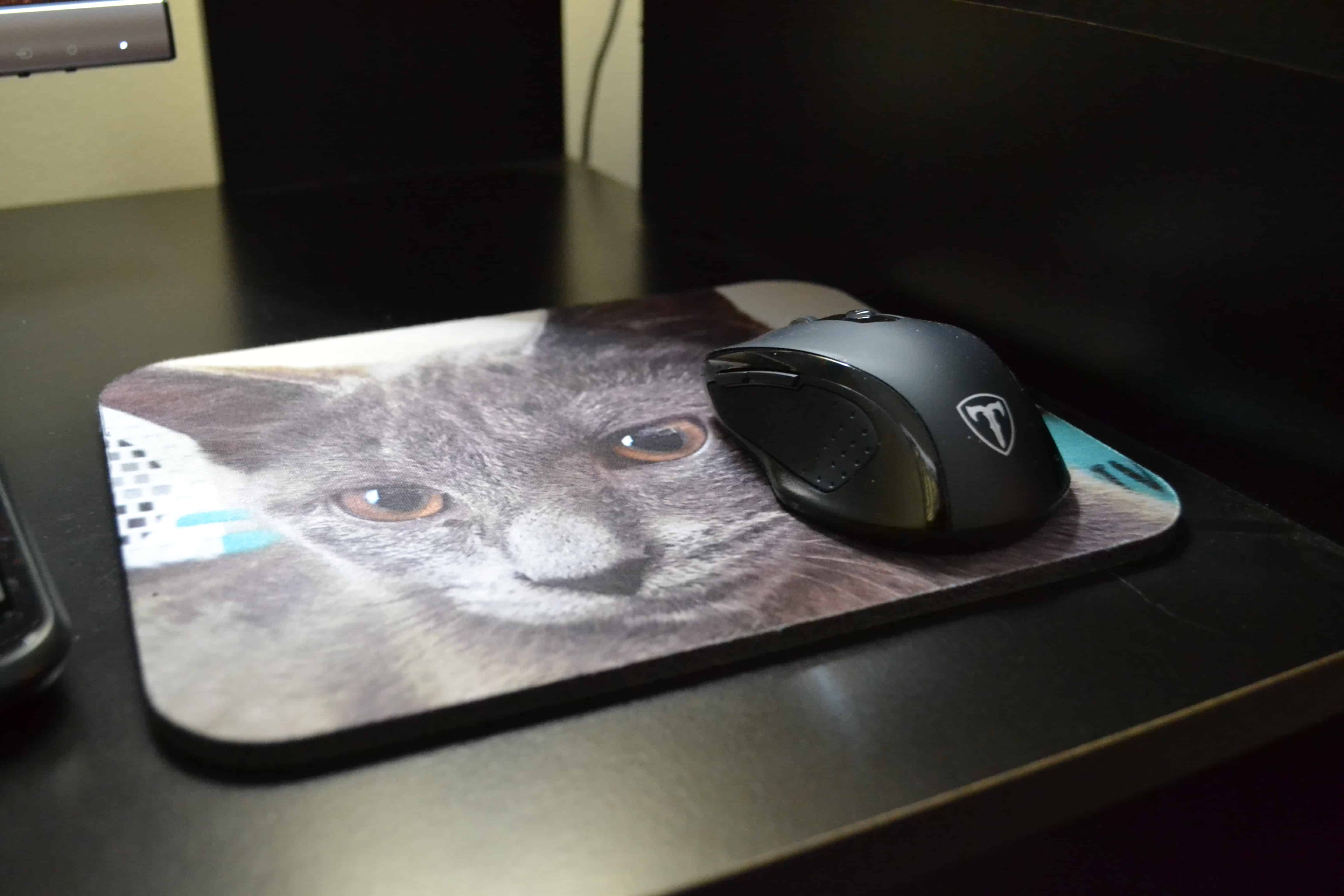 A Mouse Pad with a Picture of Reina on it