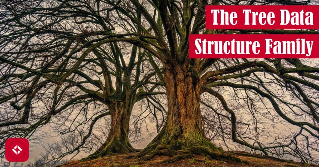 The Tree Data Structure Featured Image