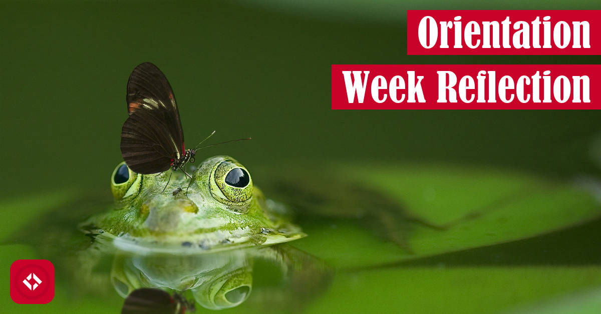 Orientation Week Reflection Featured Image