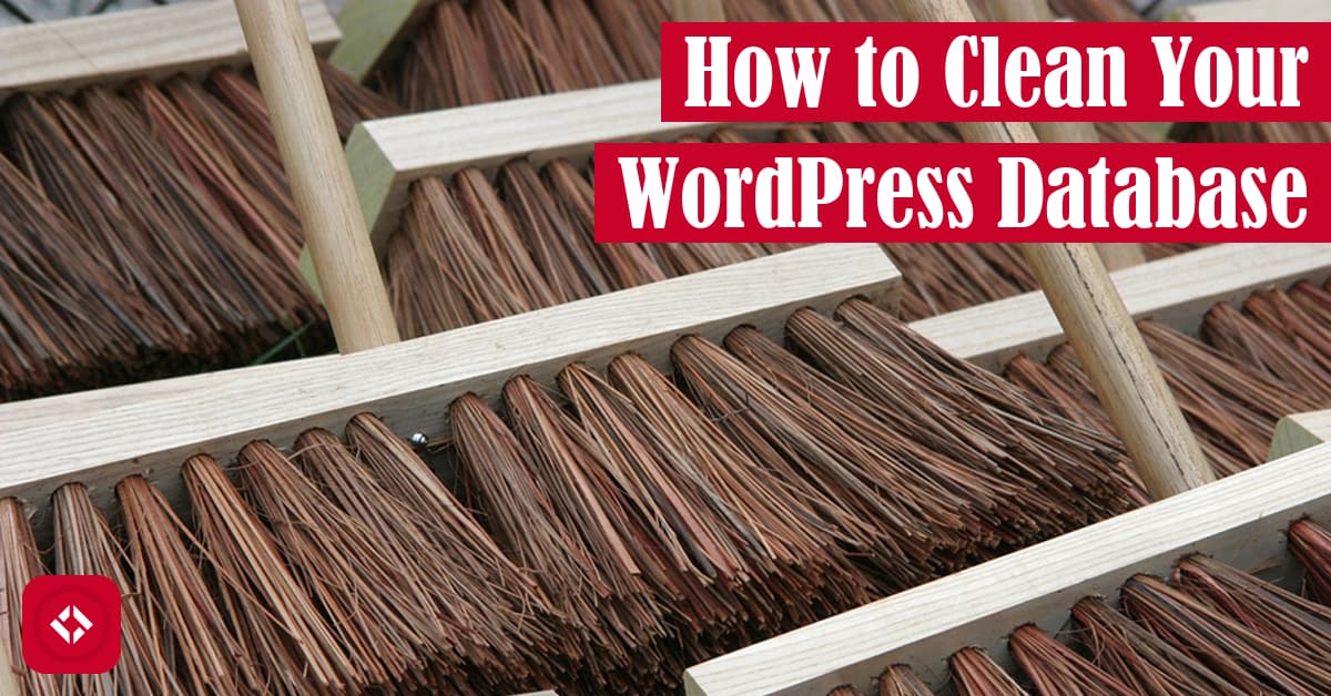 How to Clean Your WordPress Database Featured Image