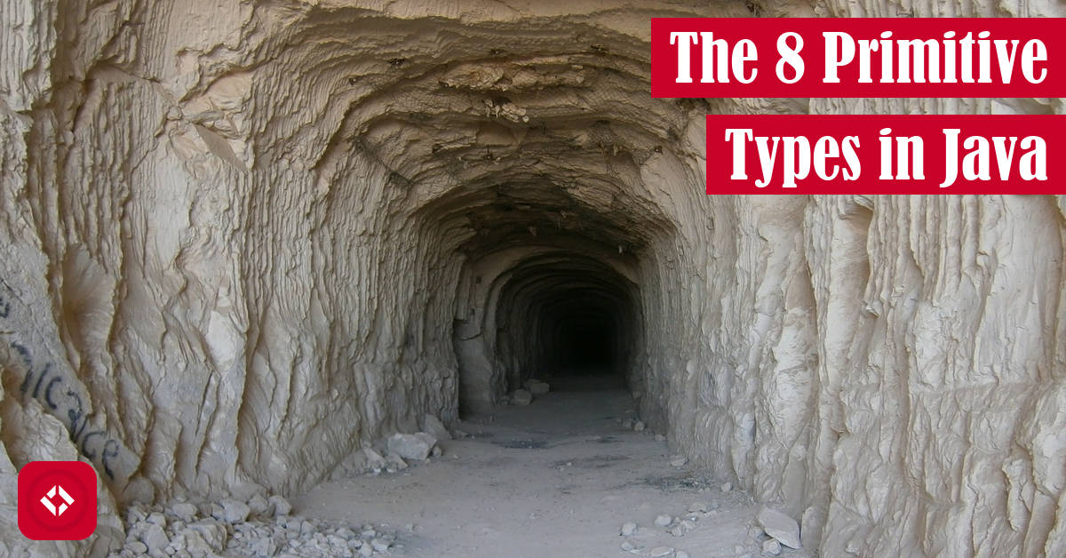 The 8 Primitive Types in Java Featured Image