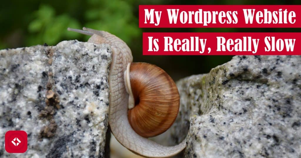 My WordPress Website Is Really, Really Slow Featured Image