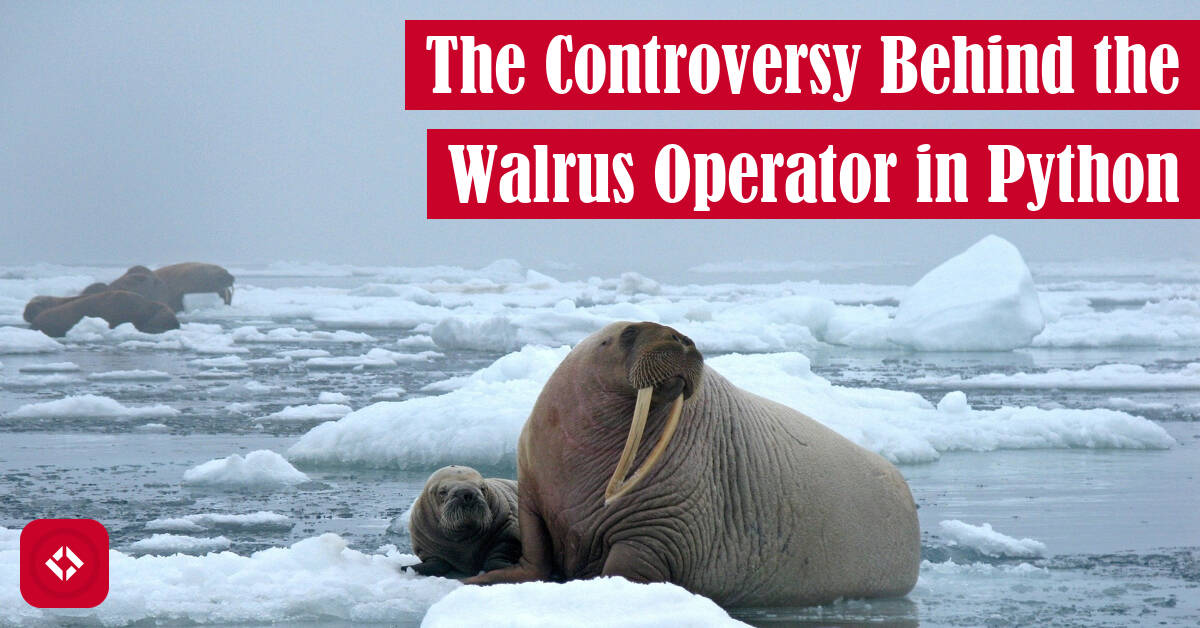 The Controversy Behind the Walrus Operator in Python Featured Image