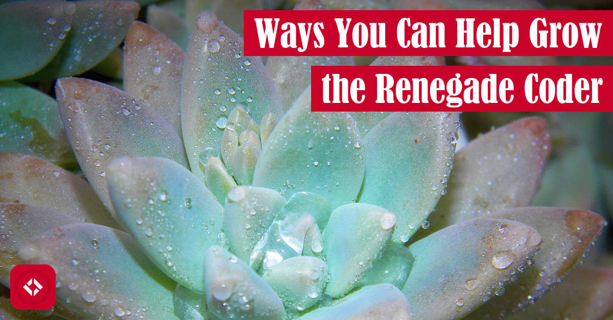 Ways You Can Help Grow The Renegade Coder Featured Image