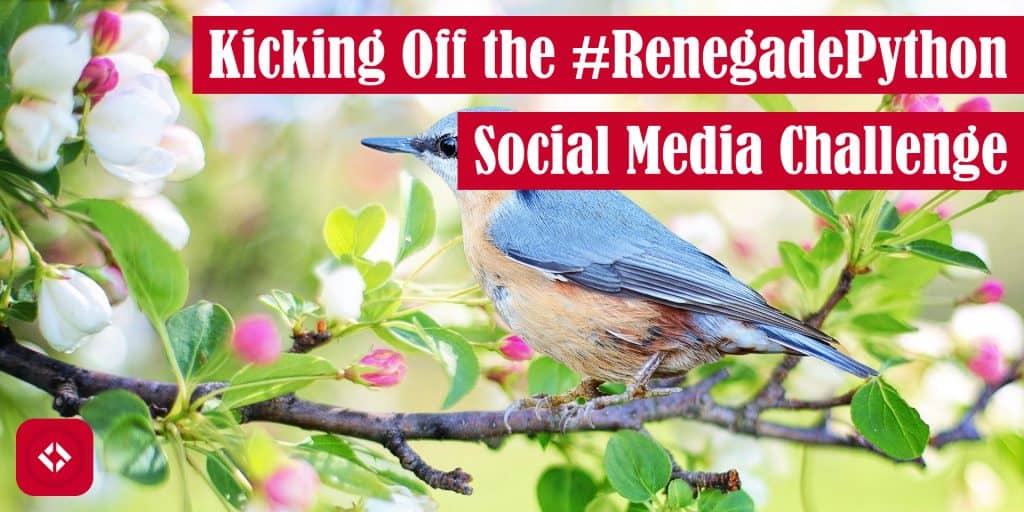 Kicking Off the #RenegadePython Social Media Challenge Featured Image