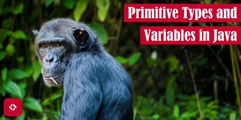 Primitive Types and Variables in Java – The Renegade Coder