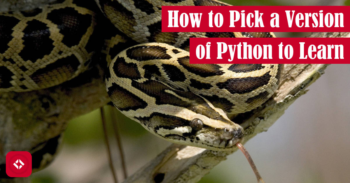 How to Pick a Version of Python to Learn Featured Image