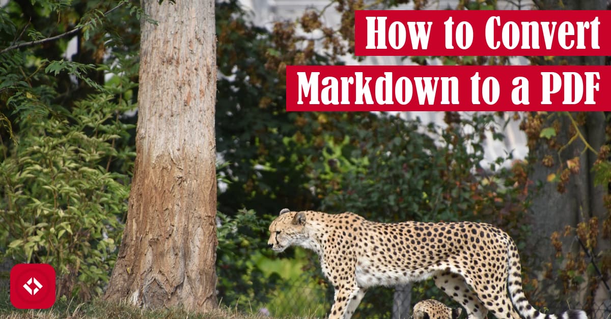 How to Convert Markdown to a PDF Featured Image