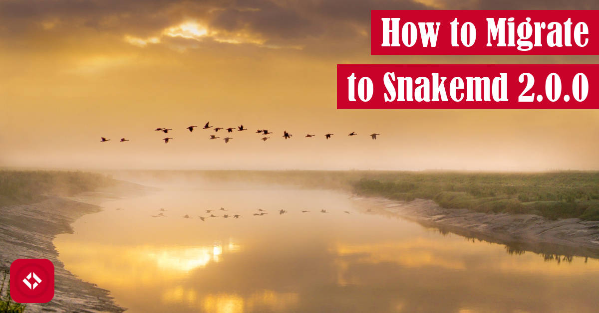 How to Migrate to SnakeMD 2.0.0 Featured Image