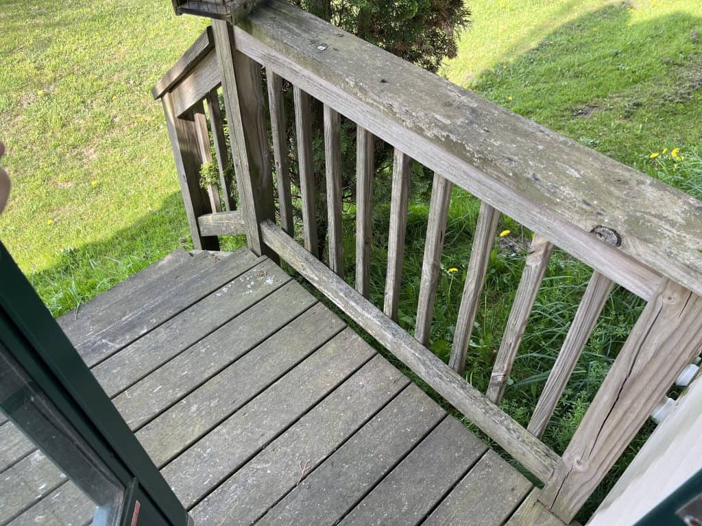 Front Family Deck: Never Cleaned