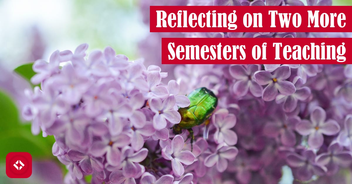 Reflecting on Two More Semesters of Teaching: Spring & Autumn 2023 Featured Image