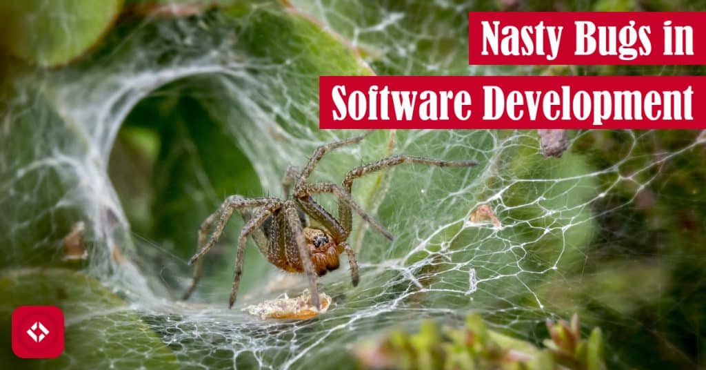 Nasty Bugs in Software Development Featured Image