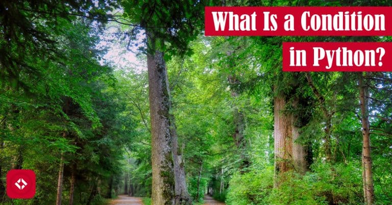 What Is a Condition in Python? – The Renegade Coder