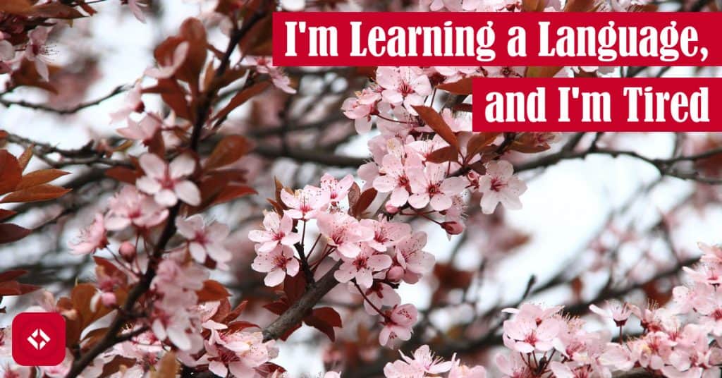 A photo of cherry blossoms with the title of the article overlaid.