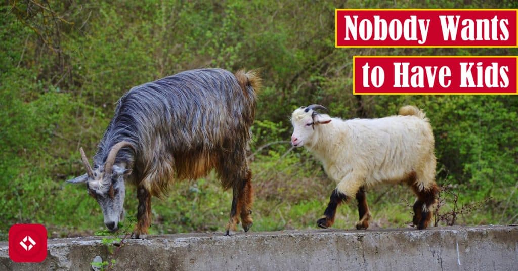 A photo of a baby goat and a momma goat as a play on the word "kid" with the title of the article overlaid.