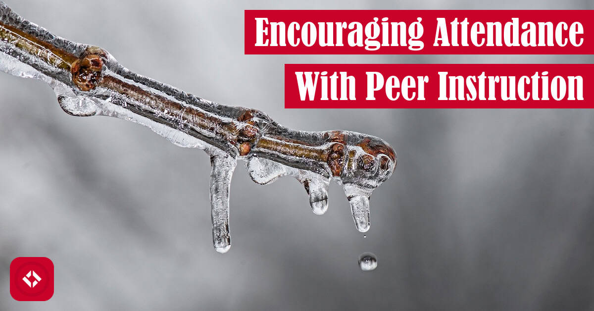 A photo of ice melting on a tree as a play on getting ICE out of our country. Also, the title of the article is overlaid.