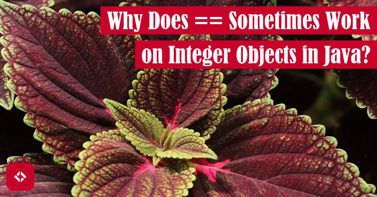 A photo of some leaves with the title of the article overlaid.