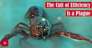 A photo of a lobster with the title of the article overlaid.