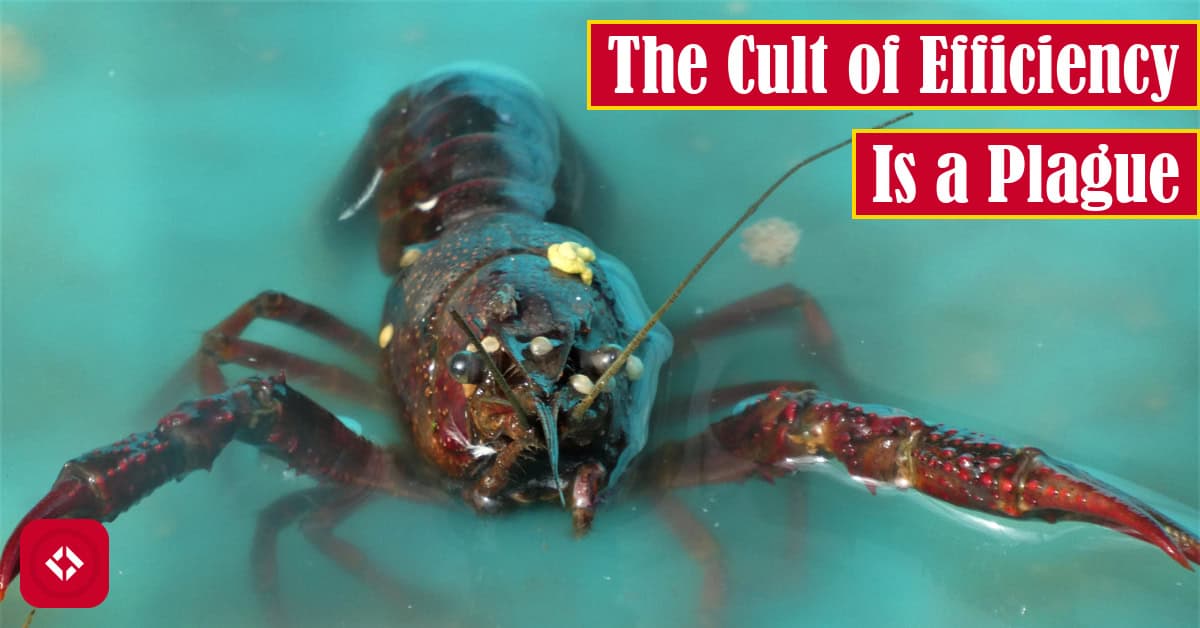 A photo of a lobster with the title of the article overlaid.