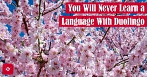 A photo of cherry blossoms with the title of the article overlaid.