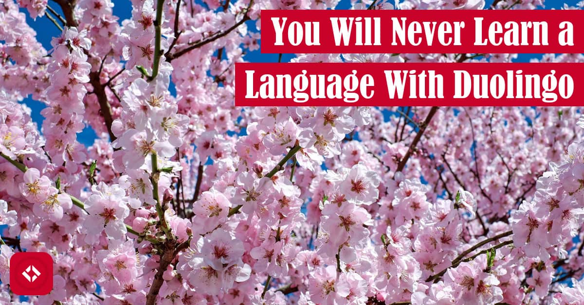A photo of cherry blossoms with the title of the article overlaid.