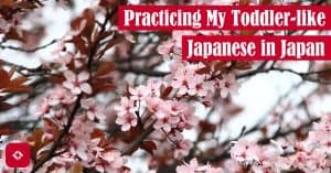 A sakura tree with the title of the article overlaid.