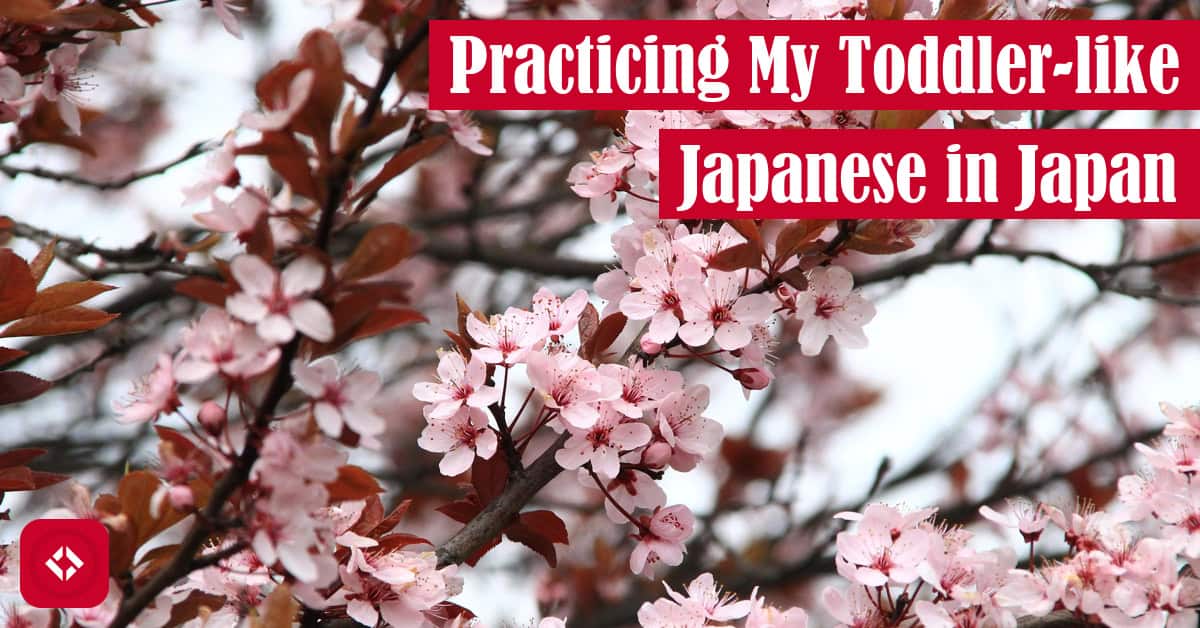 A sakura tree with the title of the article overlaid.