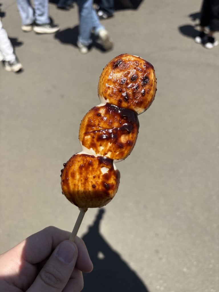 A photo of some dango I got near Mt. Tsukuba