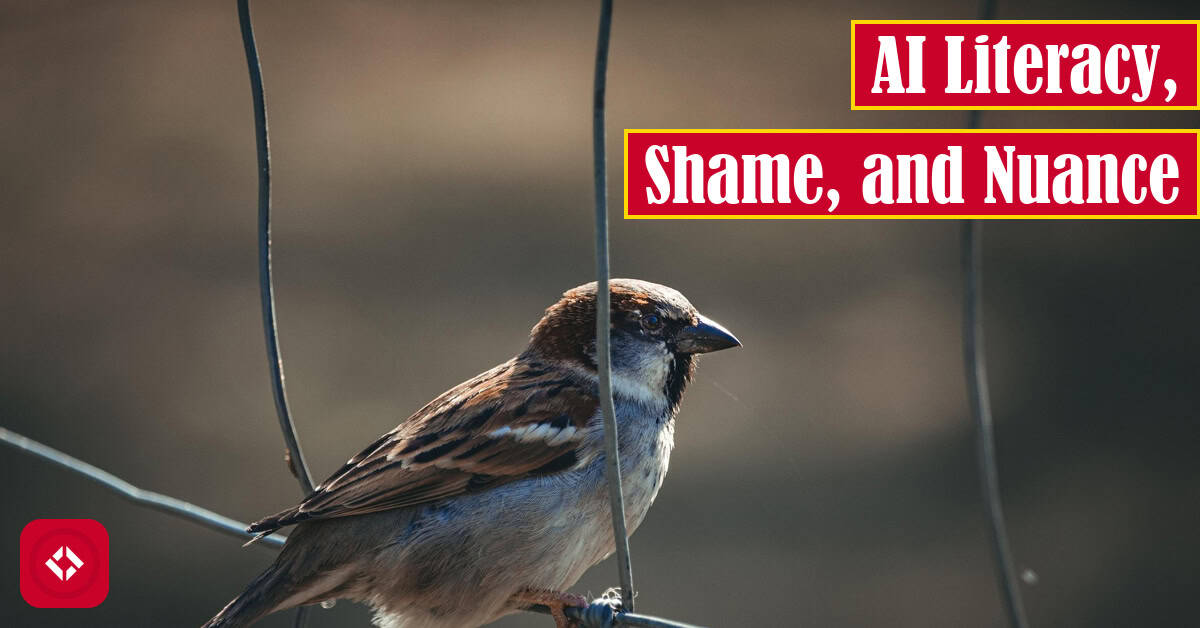 A photo of a bird sitting on a fence with the title of the article overlaid.